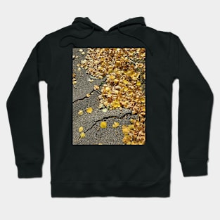 Autumn Leaves Hoodie